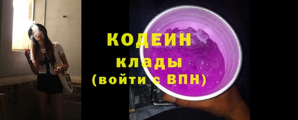 ГАЛЛЮЦИНОГЕННЫЕ ГРИБЫ Арсеньев