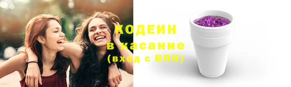ГАЛЛЮЦИНОГЕННЫЕ ГРИБЫ Арсеньев